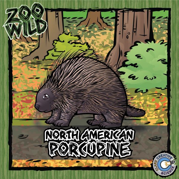 North American Porcupine – Zoo Wild_Cover