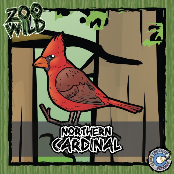 Northern Cardinal – Zoo Wild_Cover