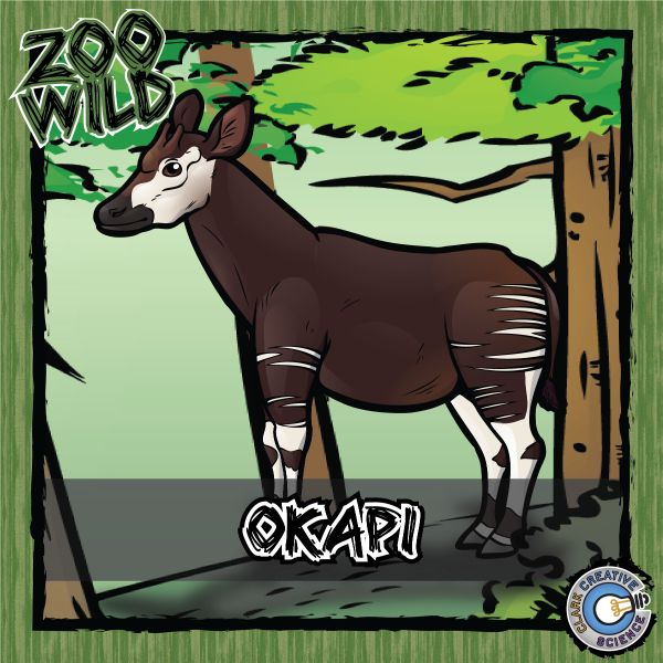 Okapi – Zoo Wild_Cover