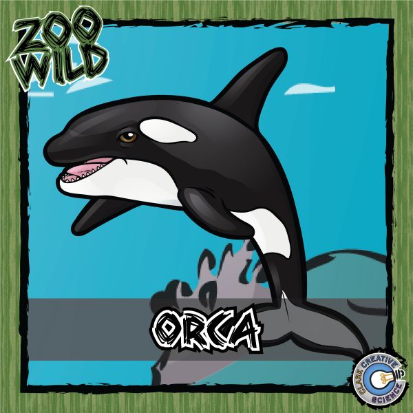 Orca – Zoo Wild_Cover