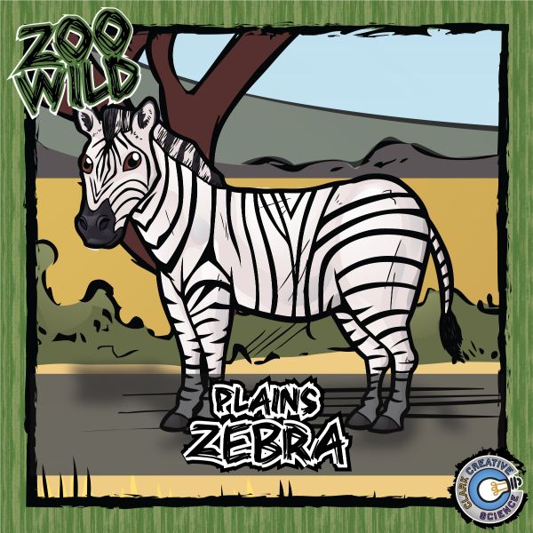 Plains Zebra – Zoo Wild_Cover
