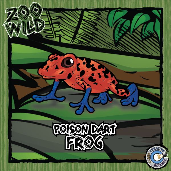 Poison Dart Frog – Zoo Wild_Cover