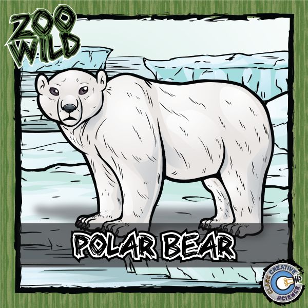 Polar Bear – Zoo Wild_Cover