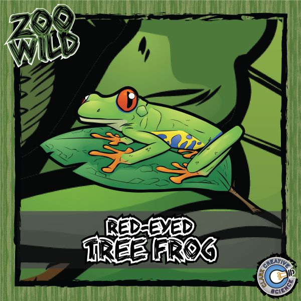 Red-Eyed Tree Frog – Zoo Wild_Cover