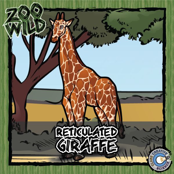 Reticulated Giraffe – Zoo Wild_Cover