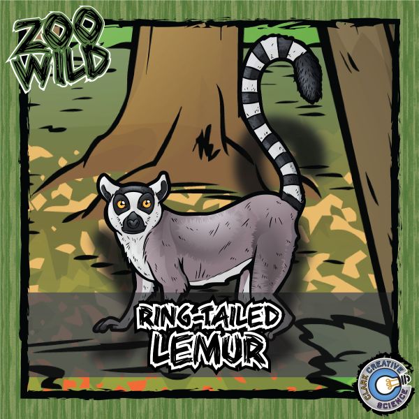 Ring-Tailed Lemur – Zoo Wild_Cover