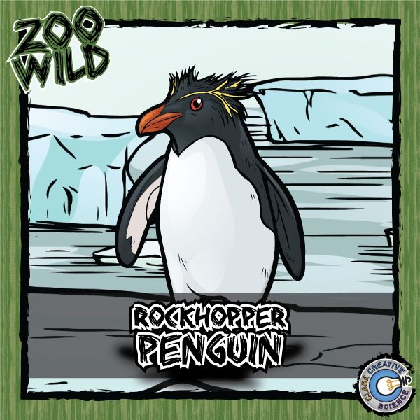 Rockhopper Penguin – Zoo Wild_Cover