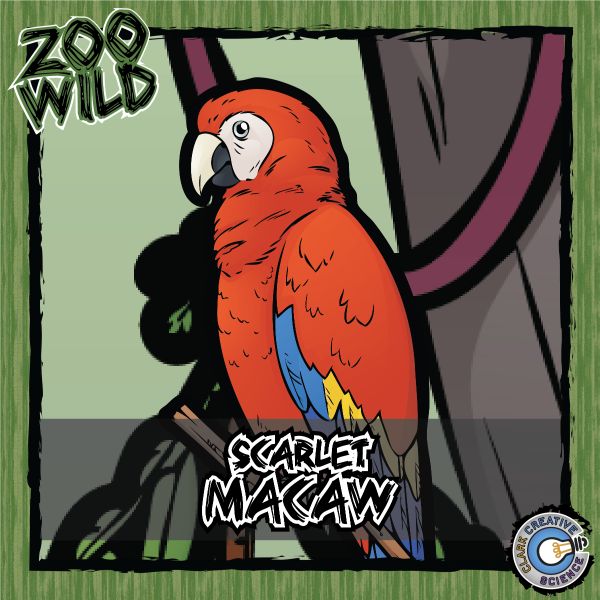 Scarlet Macaw – Zoo Wild_Cover