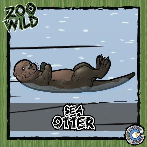 Sea Otter – Zoo Wild_Cover