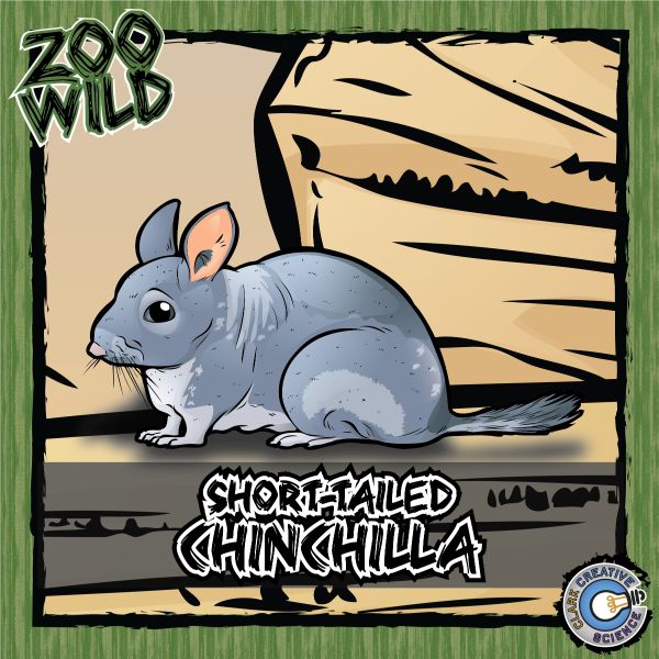 Short-Tailed Chinchilla – Zoo Wild_Cover