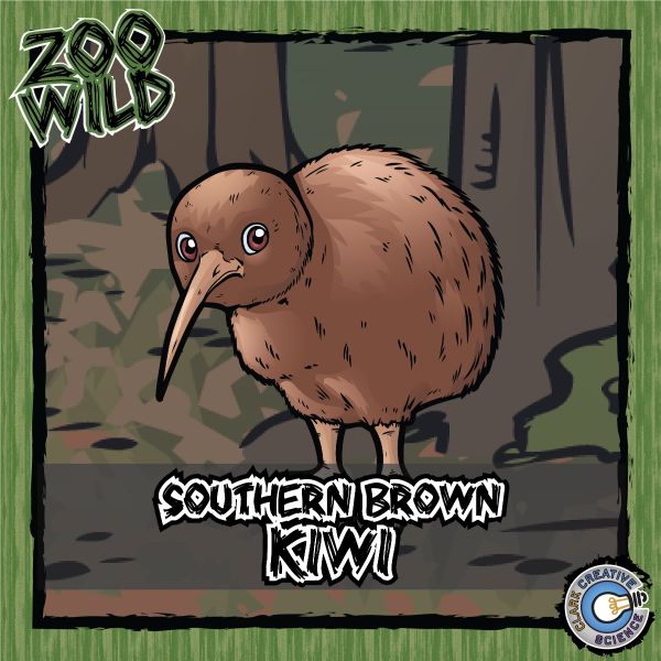 Southern Brown Kiwi – Zoo Wild_Cover