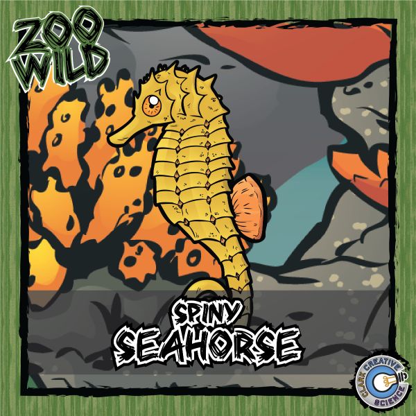 Spiny Seahorse – Zoo Wild_Cover