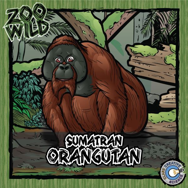 Sumatran Orangutan – Zoo Wild_Cover