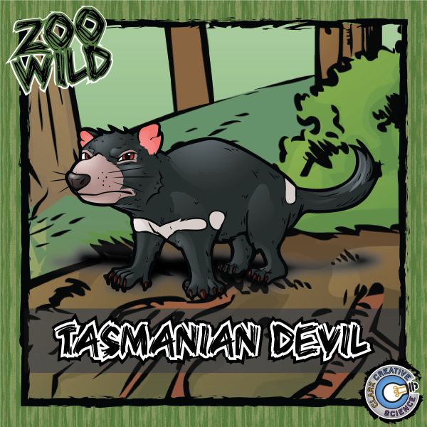 Tasmanian Devil – Zoo Wild_Cover
