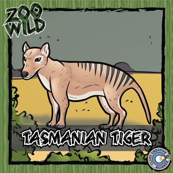 Tasmanian Tiger – Zoo Wild_Cover