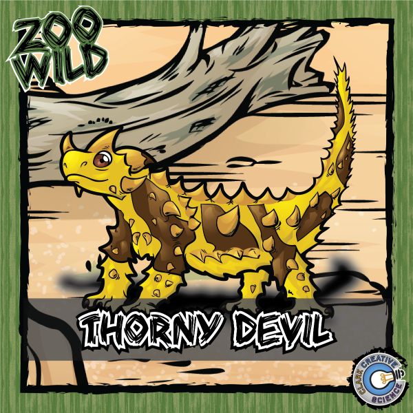 Thorny Devil – Zoo Wild_Cover