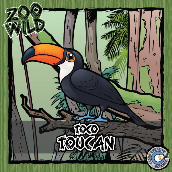 Toco Toucan – Zoo Wild_Cover