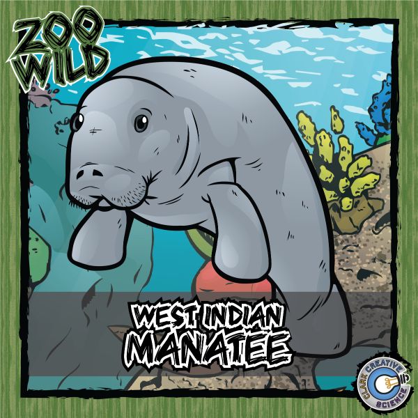 West Indian Manatee – Zoo Wild_Cover