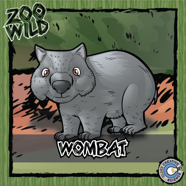 Wombat – Zoo Wild_Cover