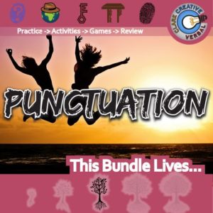 BundleCovers-Punctuation_Variables & Expressions