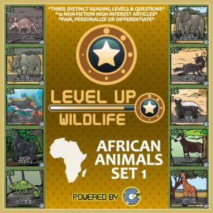 LevelUp-Africa1-01
