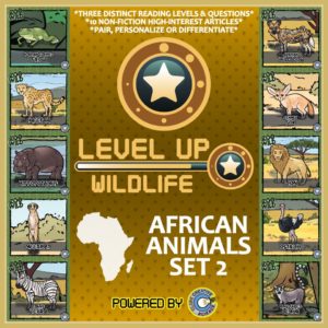 LevelUp-Africa2-01