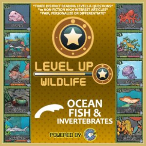 LevelUp-OceanFishInvertebrate-01