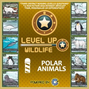 LevelUp-Polar-01