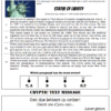 CSI - ALL OF THEM Language Arts Bundle - Image 4