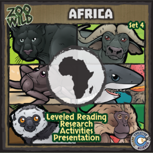 African Animals Bundle Set 4