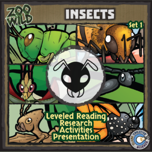 Insects Bundle