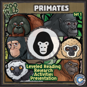 Primates Bundle Set 1