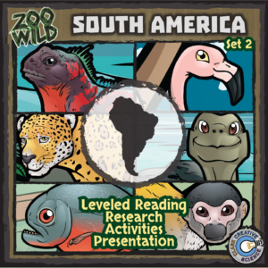 South American Animals Bundle Set 2