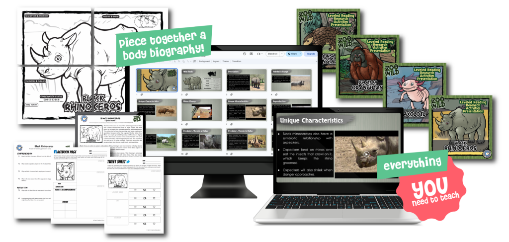 Creative Wildlife Conservation Lessons